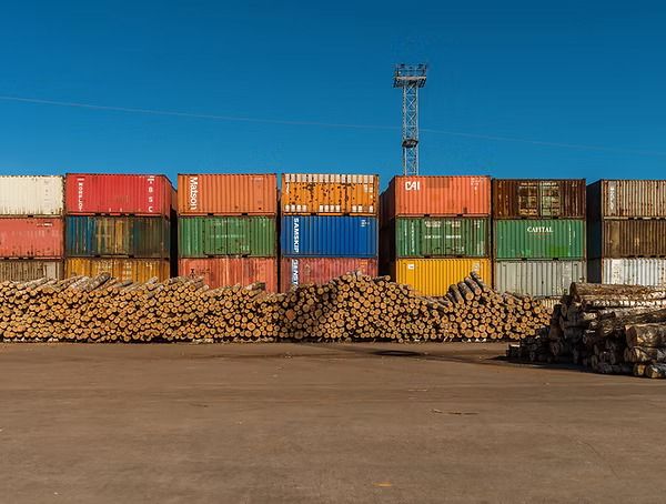 CARGO AGENT